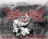 Tears Of Misery : Culto A La Violencia